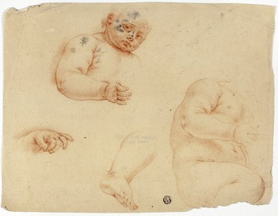 Skitser af et barn:  Halv længde, torso, fod, hånd af Unknown Lombard