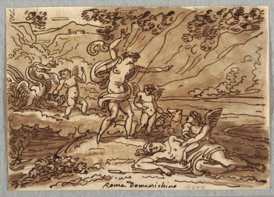 Tegning, Adonis