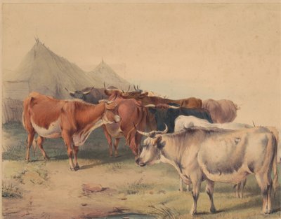 En flok kvæg af Unknown artist