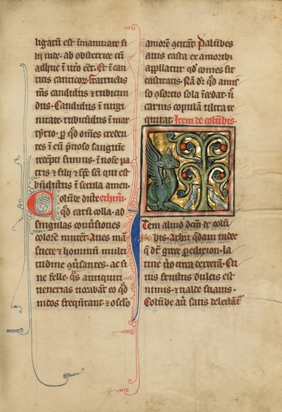 Et Peridexion-træ af Unknown artist