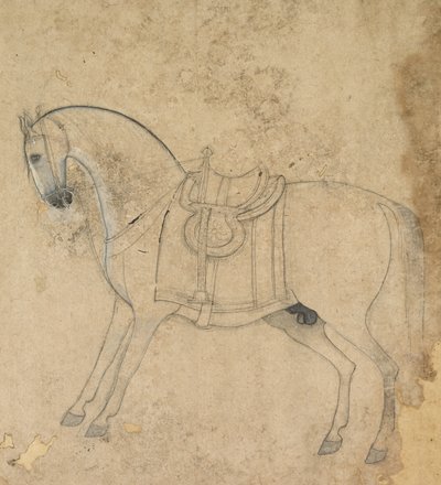 En opsadlet hest af Unknown artist