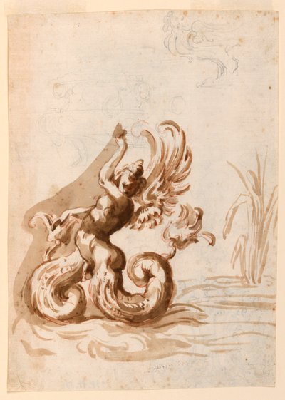 En bevinget Mer Hermafrodit og skitser til en skål af Unknown artist