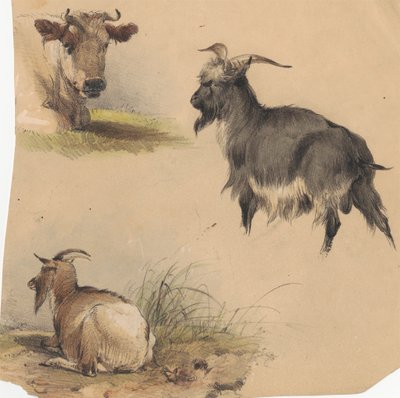 En ko og to geder af Unknown artist