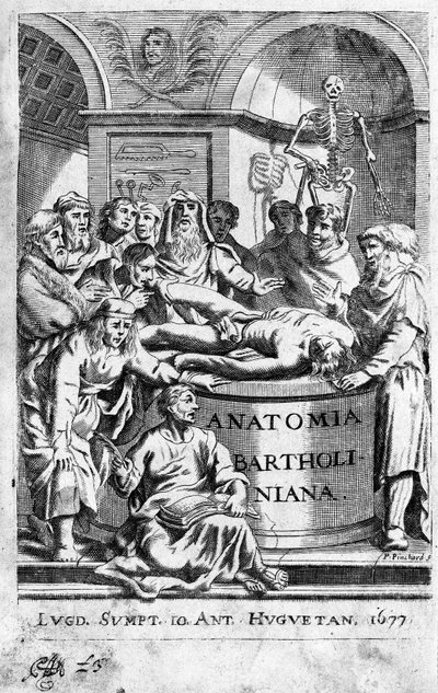 En lecon of anatomy Frontispice tager fra "Anatomia Reformata"" af Thomas Bartholin (1616-80) (Bartholinus) 1677 af Unknown artist