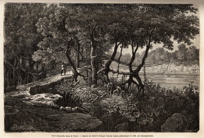 En hængebro i Terai ("Vådområde"), dette område med marcaagous enge danner bunden af Himalaya og grænser op til Nepal syd for den indiske grænse. Gravering for at illustrere udforskningen af Øvre Asien fra 1854 til 1857 af Schlagintweits brødre, af Unknown artist