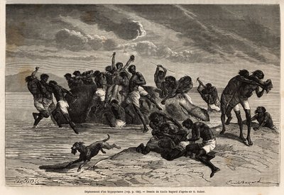 Efter at have taget sin del og den andel, der tilskrives lederen af Hamran-stammen, kæmper folkemængden brutalt om de resterende brikker. Gravering for at illustrere udforskningen af Nilens abessinske bifloder, af Sir Samuel W. Baker, i af Unknown artist