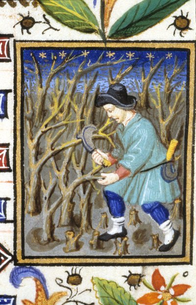 Allegorisk fremstilling af marts. En mand skærer buske (tegning). Miniature af et manuskript fra det 14. århundrede. af Unknown artist