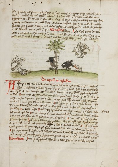 En ørn, der griber en snegl; en krage, der hakker i en snegl af Unknown artist