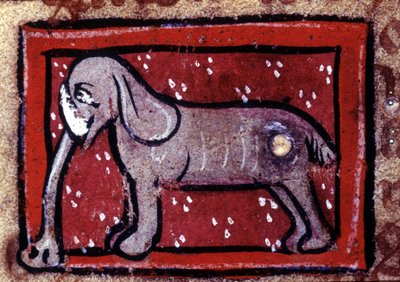 En elefant - bestiarium fra det 14. århundrede. Milano, Biblioteca Trivulziana. af Unknown artist