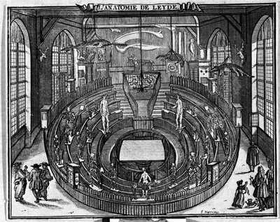 Anatomisk teater ved universitetet i Leiden, slutningen af det 17. århundrede. af Unknown artist