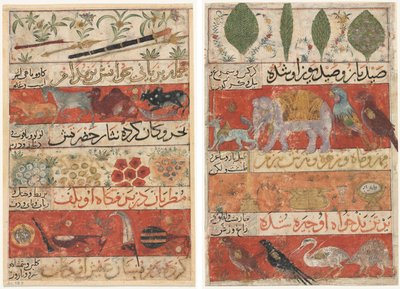 Dyr, ædelstene, mønter og musikinstrumenter (recto); Dyr, fugle og planter (verso) fra en Mu