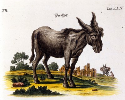 Ankey. 1700-tallets fremstilling. af Unknown artist
