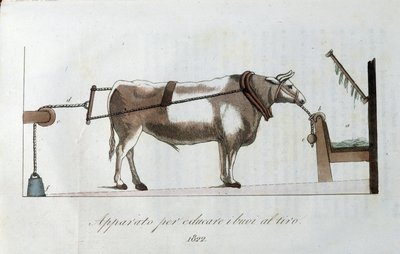 Apparat til at vænne okser til linen. Plade taget fra "" Journal of agriculture, arts and techniques "" (Revue d