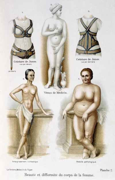 Skønhed og deformitet af kvindens krop (mager og fedme); Junos bælter - i "Kvinden, hjemmelæge"" af Unknown artist