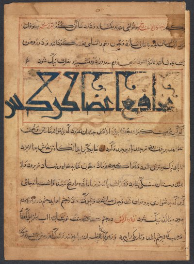 "Fordelene ved gribbes dele" (Fra Manafi