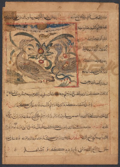 "Fordelene ved gribbes dele" (Fra Manafi