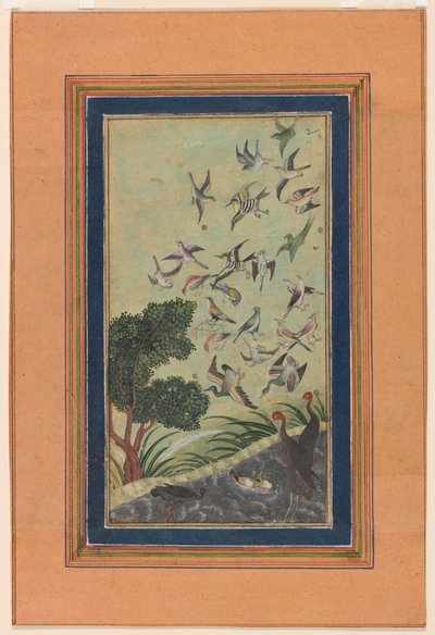 Fugle ved Baran, muligvis fra Babur-nama af Unknown artist