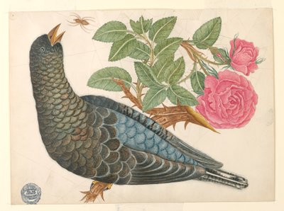 Blå-sort fugl på rosengren med edderkop af Unknown artist