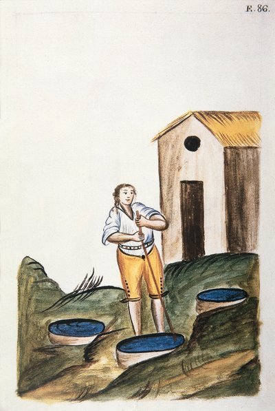 Blå farvebakke, der bruges til at farve uld, fra bogen "Trujillo of Peru" eller "Codex Martinez Companion", af Baltazar Martinez Companion og Bujanda, biskop af Trujillo (1782-1785) af Unknown artist