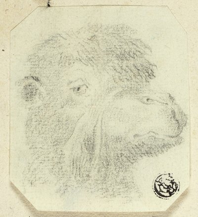 Kamelhoved vendt mod højre af Unknown artist