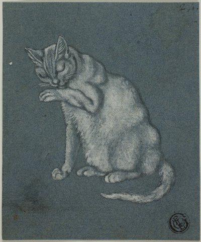 Kat slikker pote af Unknown artist
