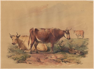 Kvæg af Unknown artist