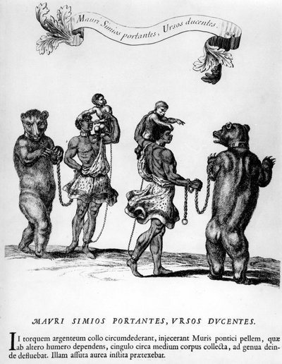Cirkus: fester i Versailles - i "" Festiva ad Capita annulumque Decursio, A Roge Ludovico 14... Paris, Imprimerie Royale af Unknown artist