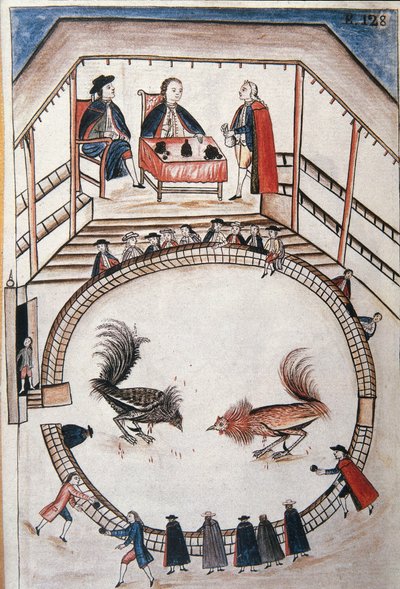 Hanekamp, ​​en adelig deltager i duellen, fra bogen "Trujillo del Peru" eller "Códice Martínez Compañón", af Baltazar Martinez Compañón y Bujanda, biskop af Trujillo (1782-1785) af Unknown artist