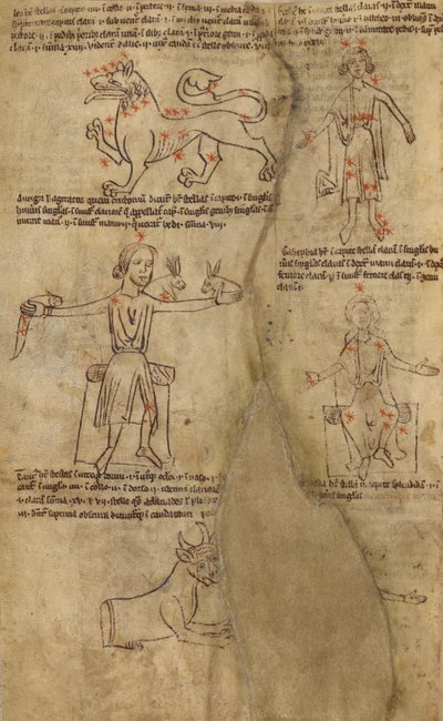 Konstellationsdiagrammer af Unknown artist