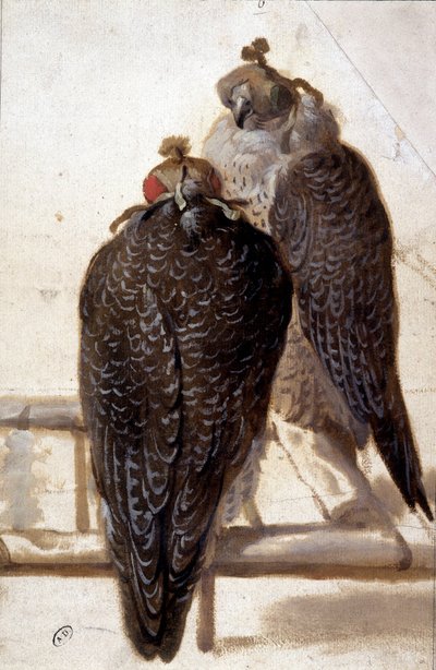 Et par høge. 1700-tals tegning. af Unknown artist