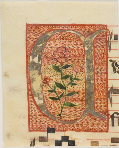 Dekoreret initial "A" med blomst fra et manuskript af Unknown artist