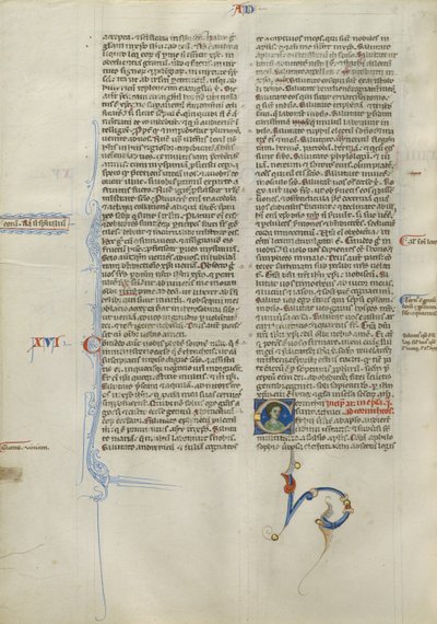 Dekoreret initial C af Unknown artist
