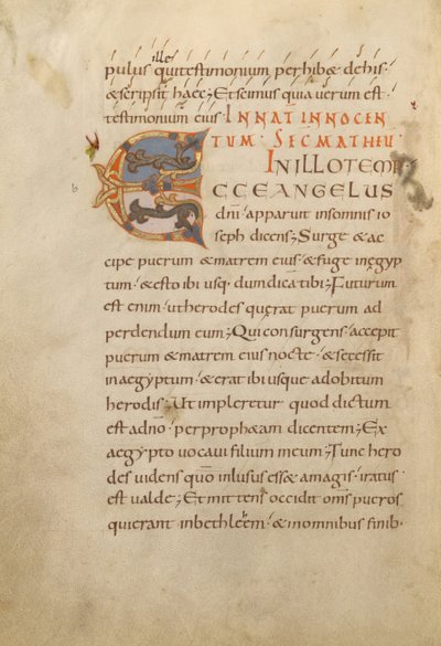Dekoreret initial E af Unknown artist