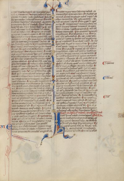 Dekoreret initial L af Unknown artist