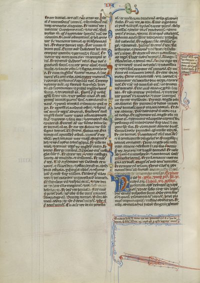 Dekoreret initial N af Unknown artist
