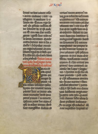 Dekoreret initial N af Unknown artist
