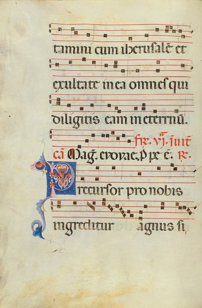 Dekoreret initial P af Unknown artist