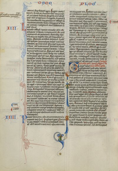 Dekoreret initial S af Unknown artist