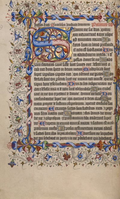 Dekoreret initial S af Unknown artist