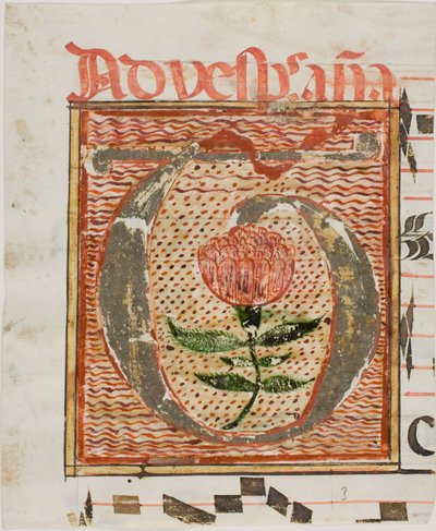 Dekoreret initial "T" med blomst fra et manuskript af Unknown artist