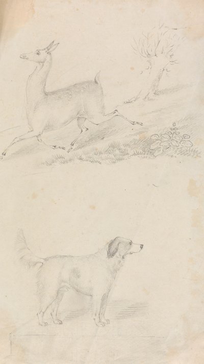 Hjorte og hund af Unknown artist