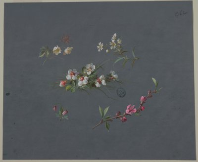 Design til tapet og tekstiler: Blomster af Unknown artist