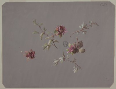 Design til tapet og tekstiler: Blomster af Unknown artist