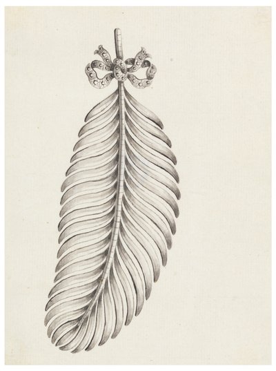Design til en broche i form af en fjer af Unknown artist