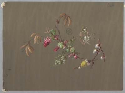 Design til tapet og tekstiler: Blomster af Unknown artist