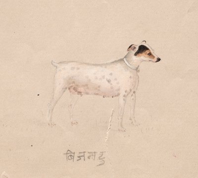 Hund af Unknown artist
