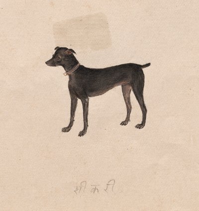 Hund af Unknown artist