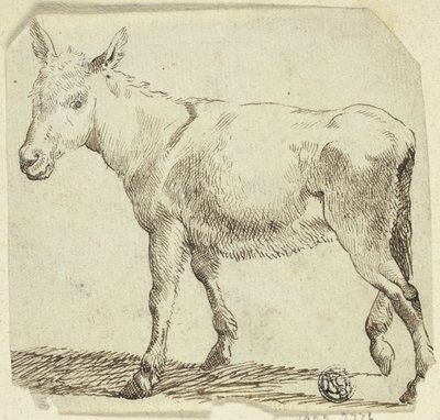 Æsel af Unknown artist