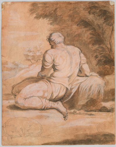 Tegnestudie: Narcissus (?) af Unknown artist