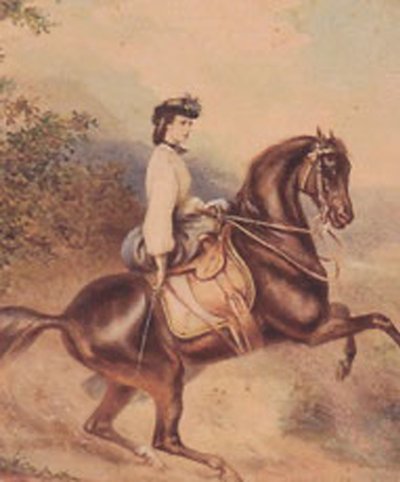 Elisabeth, kejserinde af Østrig og dronninggemalinde af Ungarn (24. december 1837 - 10. september 1898) (illustration) af Unknown artist